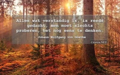 Intuïtief Intellect