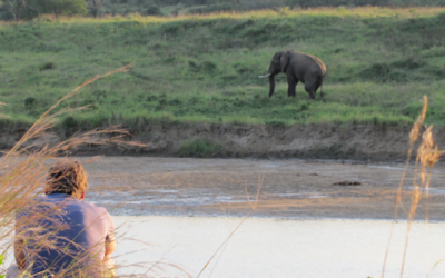 Reflectie in de Wildernis