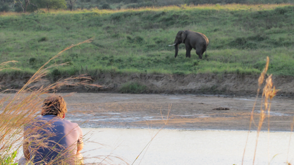 Reflectie in de Wildernis