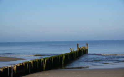 Stilte en het Innerlijk Wezen