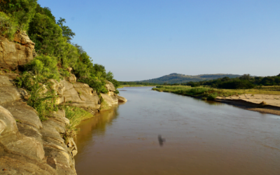 Solo in de wildernis