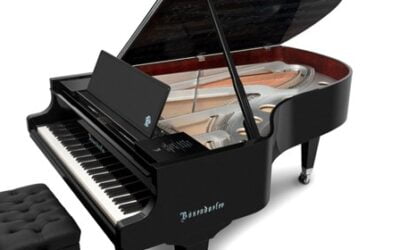 Waarom Oma’s en Opa’s belangrijk zijn