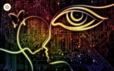 Zintuigen die ons (ver)leiden