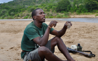 Zondi en de kracht van Intuïtie