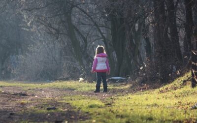 Reis in eigen Wildernis