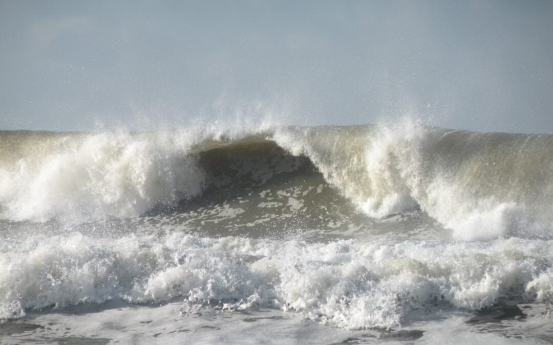 Eilanden in een zee van chaos